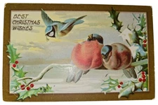 Best Christmas Wishes Postcard New Year Greetings Birds Holly Snow Unposted
