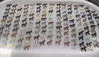 New ListingVintage Massive Playmobil Lot-150 Animals Horses Pony Ponies Confederate 🐎 🔥