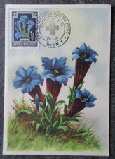 AUTRICHE timbre carte FDC 1er jour FLEUR en 1951 lot OA177