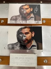 Carlos D - (Interpol/Lights/Mirror/Antics) Signed Promo Art Card Stub 2016 Rare