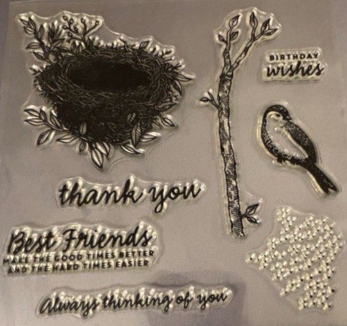 Timbro trasparente, uccellino, nido, saluti, amicizia, ringraziamenti, scrapbooking, card makin - Foto 3 di 3