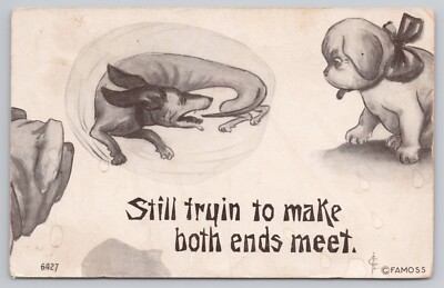 Postcard Still Trying To Make Both Ends Meet. Dog Chasing Tail. PM 1910