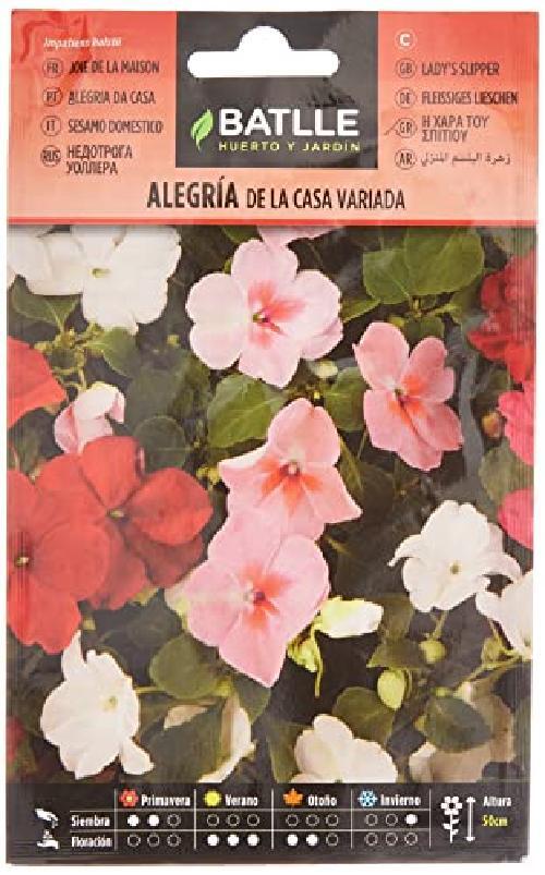 Semi di Fiori - Alegra della Casa Impatiens Ibrida Variata - Batlle