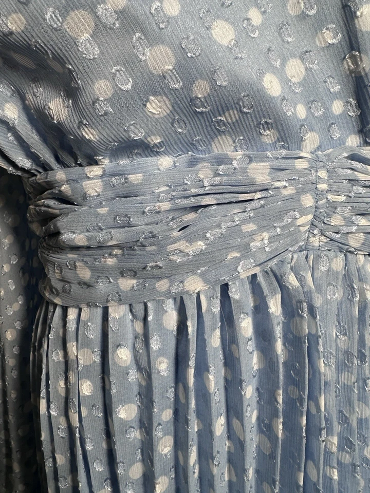 Vestido Alex Marie Línea A Acampanado 22W Manga Larga Gasa Polka Azul Blanco Nuevo $218 Foto 3 de 4