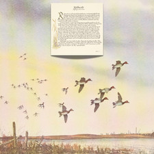 REDHEAD DUCK Lithograph David HAGERBAUMER Color Game Bird Print Art 10"x11"