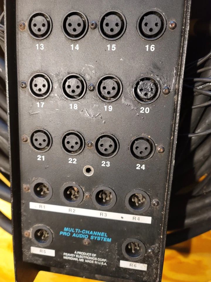 PEAVY 24 CANALES 100 PIES SERPIENTE TODO XLR ENVIAR Y RECIBIR Foto 4 de 4