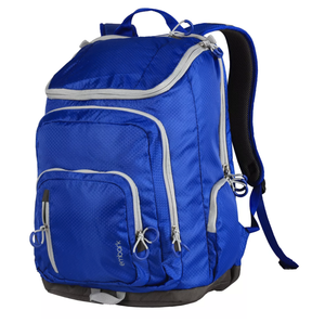 embark clear backpack