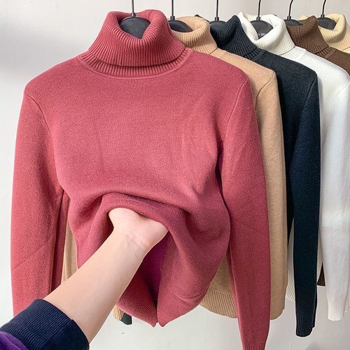 High-necked Sweater Top Women's Autumn And Winter Velvet Padded Bottoming Shirt - 第 6/58 張圖片