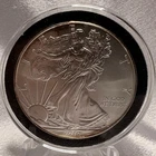 2010 1oz .999 fine silver American Silver Eagle ASE [1O]