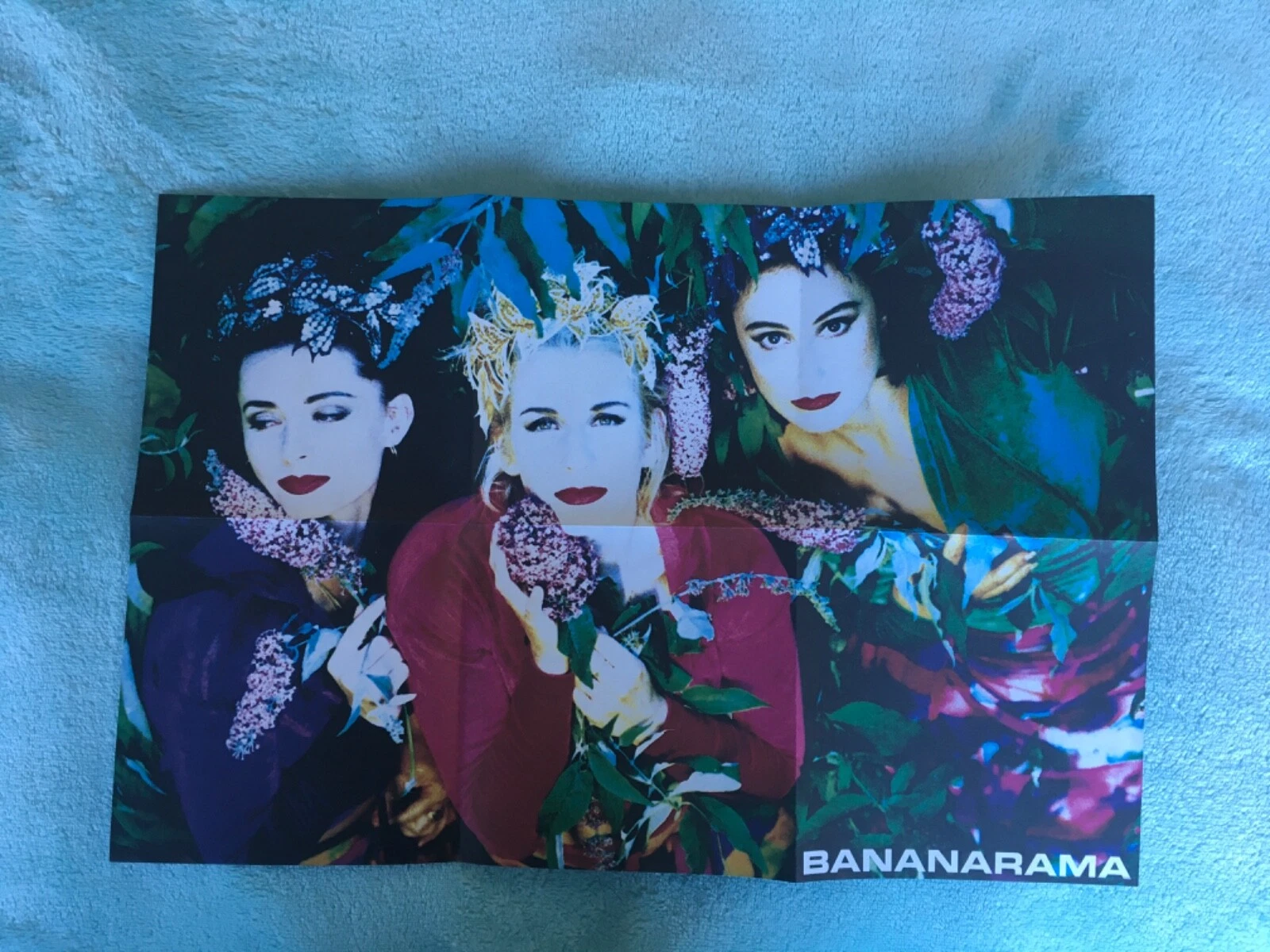 Picture 5 of 5