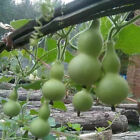 Bild 7 von 17
