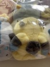 Bild 7 von 11
