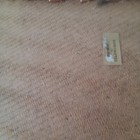 Foto 12 di 12