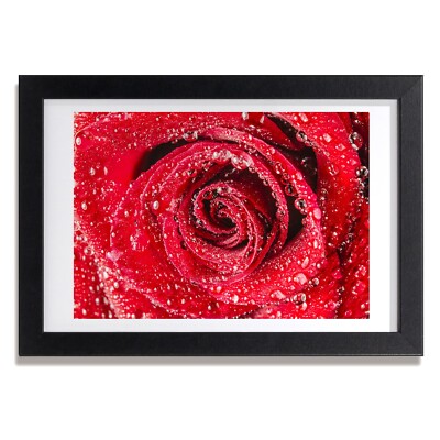 Tulup Bild MDF gerahmte Wand Dekor 30x20cm Wassertropfen auf einer Rose