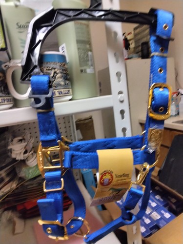Hamilton Yearling 1" Turn Out Halter in blu nuovo 300-500 libbre, regolabile - Foto 3 di 5