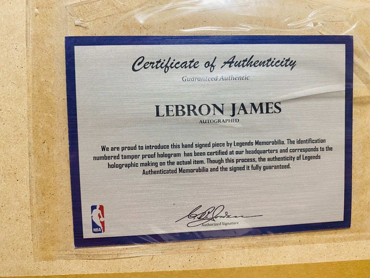 LeBron James Signed 36x44 Custom Framed Jersey Display (JSA & Palm