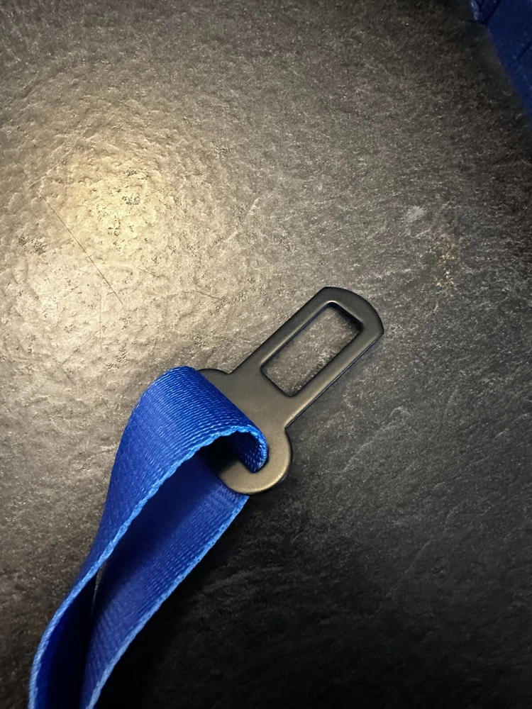 dog harness, leash ,poop bag holder, seatbelt attachment, bow blue king