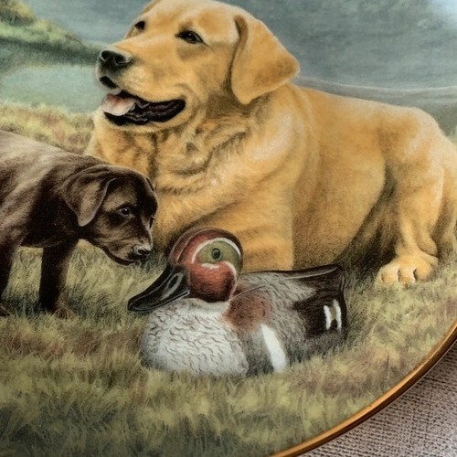 Franklin Mint ‘First Encounter’ Plate by Nigel Hemming – 22ct Gold - Picture 5 of 12