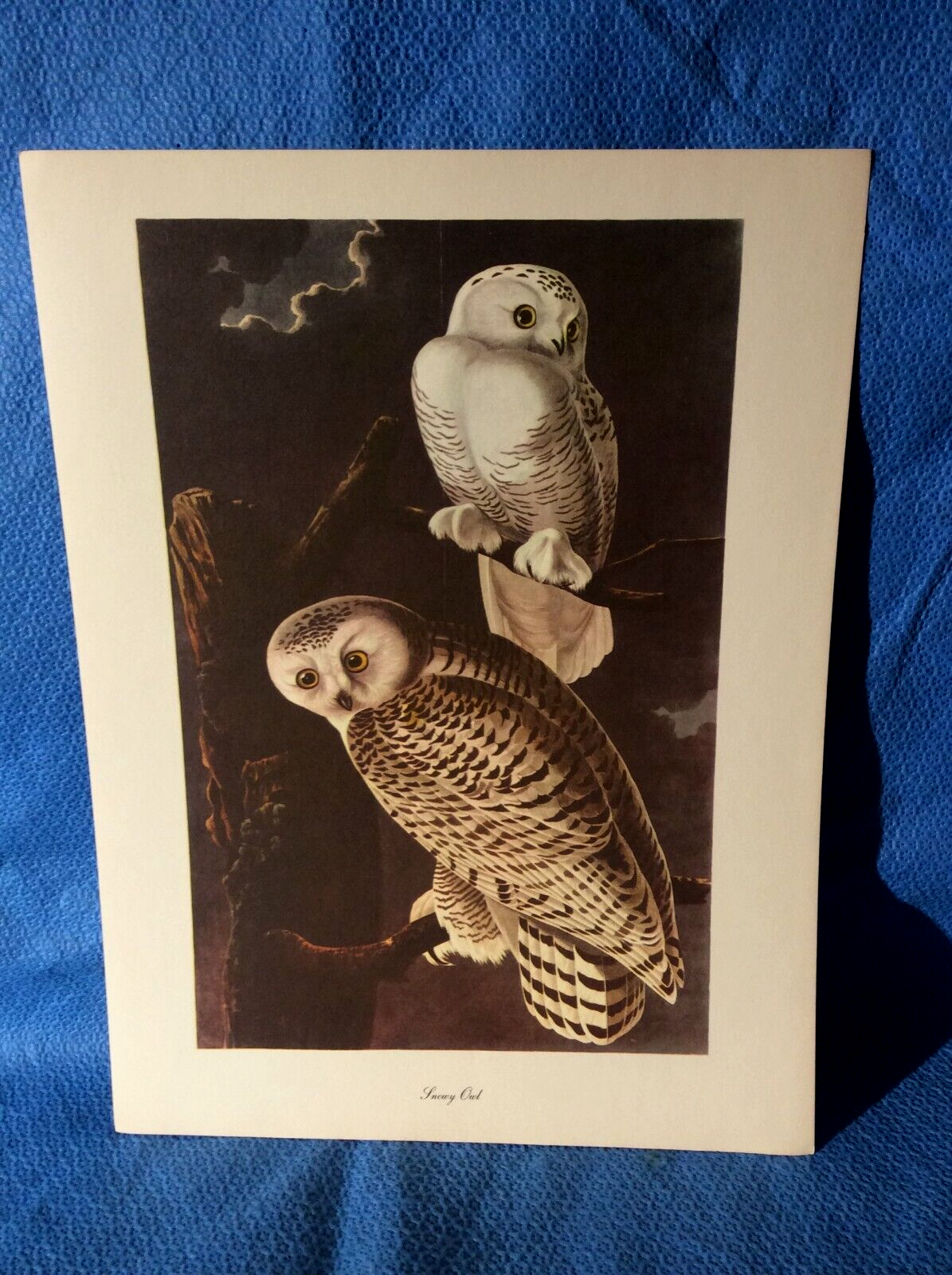 Picture 1 of 4