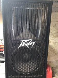 peavey dj speakers