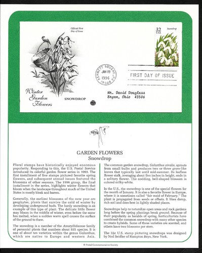 #3025-3029 32c - Winter Garden Flowers - Set of 5 PCS FDCs w/ Info Pages - Picture 5 of 7