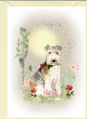 Lakeland Terrier Dog (4