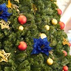 Bild 9 von 12