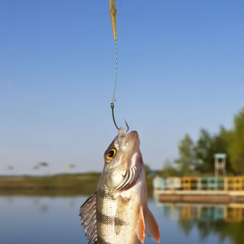 Ganchos de Pesca de Carpa Competiciones de Pesca 14*5,7 cm 20 g Materiales de Alta Calidad - Imagen 2 de 38