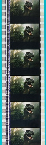 Jurassic Park 3 2001 Very Rare Unmounted 35mm Film Cells - Picture 23 of 51