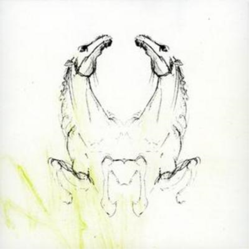 My Brightest Diamond Tear It Down (CD) Album