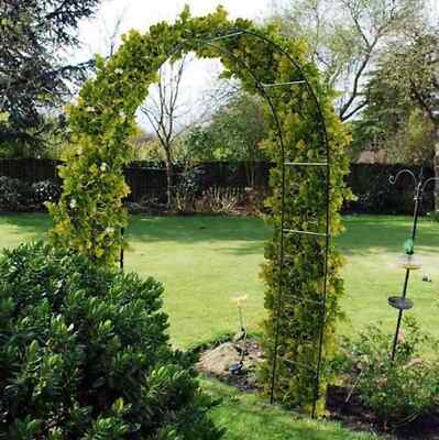2.4m Metal Garden Arch Heavy Duty Archway Tubular Rose Climbing Plants ...