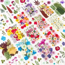 Best NESCCI 420 Pcs Dried Pressed Flowers for Resin,Real Nature Crafts Bulk Dry