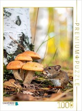 CALVENDO Puzzle Birkenpilze und Maus 1000 Teile Lege-Gr e 64 48 cm Foto-Puz