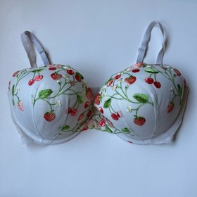 Victoria's Secret Dream Angels Push-Up Bra 36DDD Strawberry Cherry Embroidered