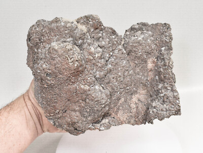 8.46'' DOLOMITE CAST Tsuemb Mine, Ex Trinity Mineral Company Q699