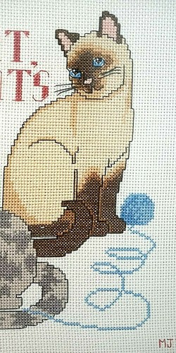 Finished Counted Cross Stitch 3 Cats "A CAT'S A CAT" 14 3/4" X 10 3/4" Tabby - Picture 5 of 6