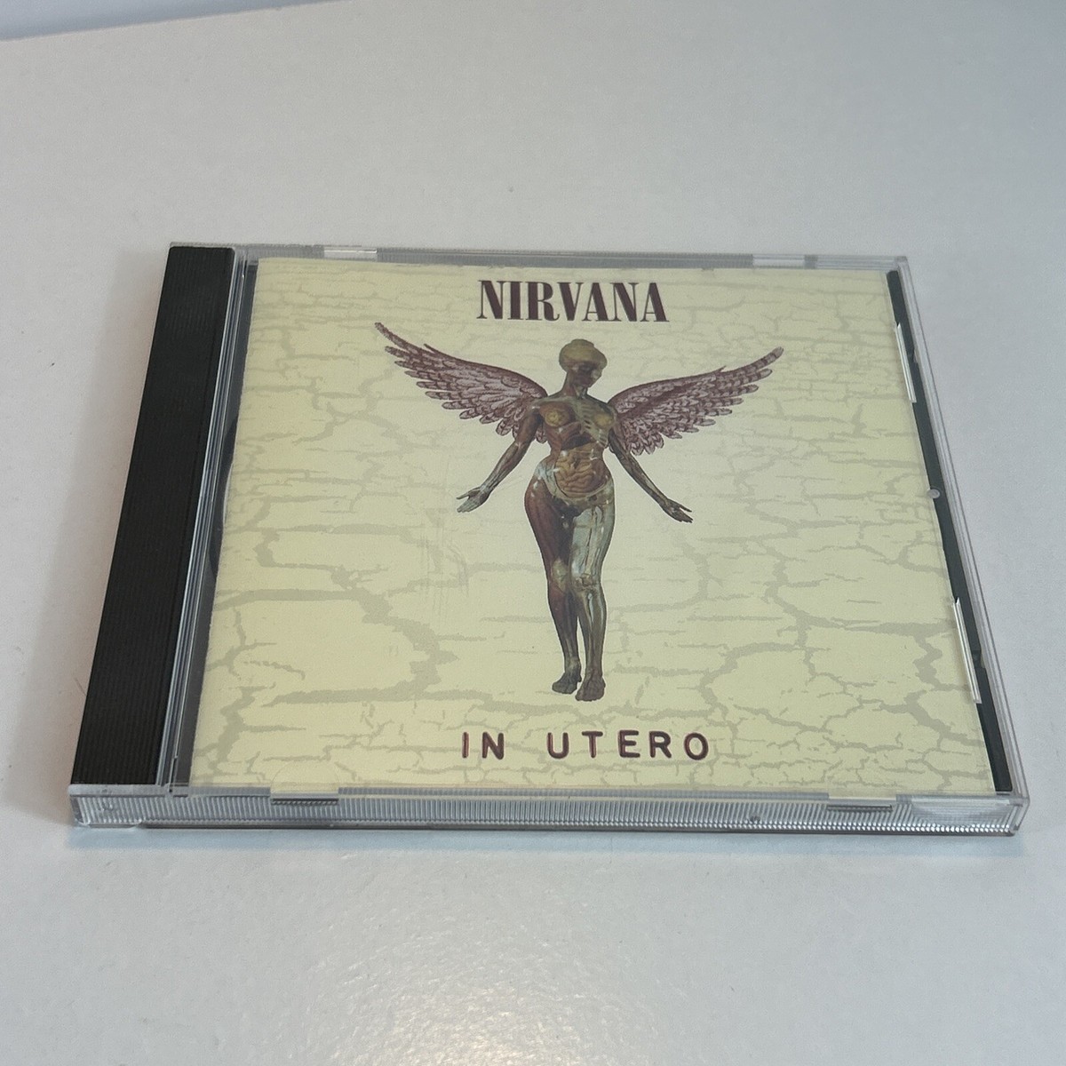 In Utero Nirvana - – ⁄ Records NIRVANA Anniversary 30周年記念 