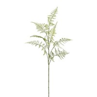 artplants KüNstlicher Zweig Asparagus Plumosus Plavin, GrüN, 85Cm