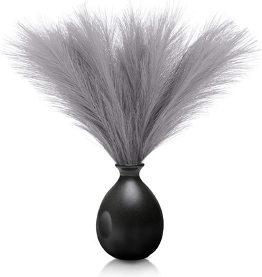 Getrocknete Pampasgras-Set 45 cm zum Dekorieren und Basteln für Zuhause und Even