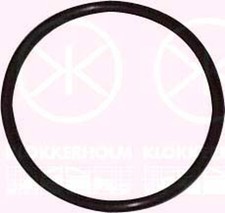KLOKKERHOLM Dichtung Tankgeber 95990095 58mm für VW TRANSPORTER T3 Bus POLO 86C