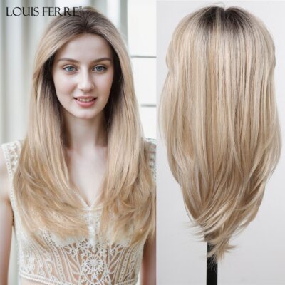 LOUIS FERRE Brown Blonde Ombre Synthetic Lace Front Wig Long  display picture 1