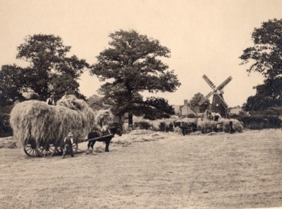 Britische Landschaft Arbeitspferde Ernte Landwirtschaft Windmühle altes Foto 1930