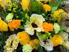 Bild 3 von 34
