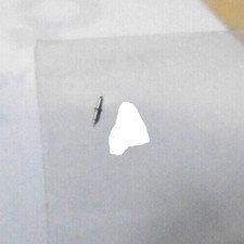 WALTHAM 12 COL. B SIZE BALANCE STAFF 7865 COL. B-1924 PIVOT-10 NOS -- BB-1069