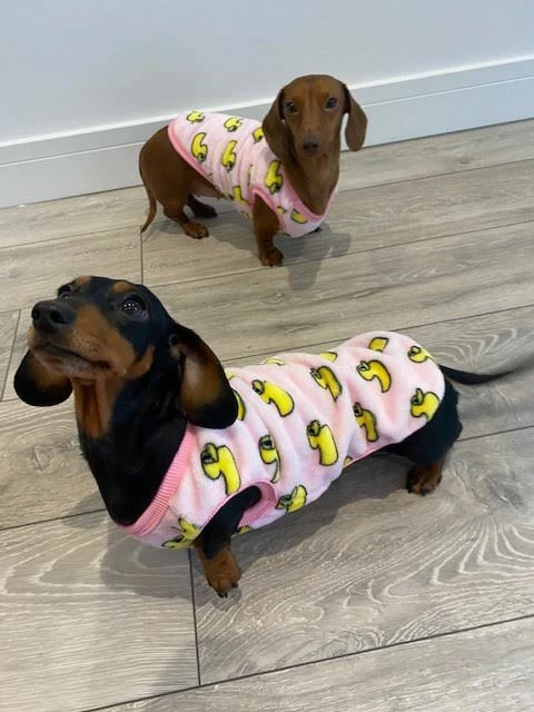 Pajamas clearance for dachshunds
