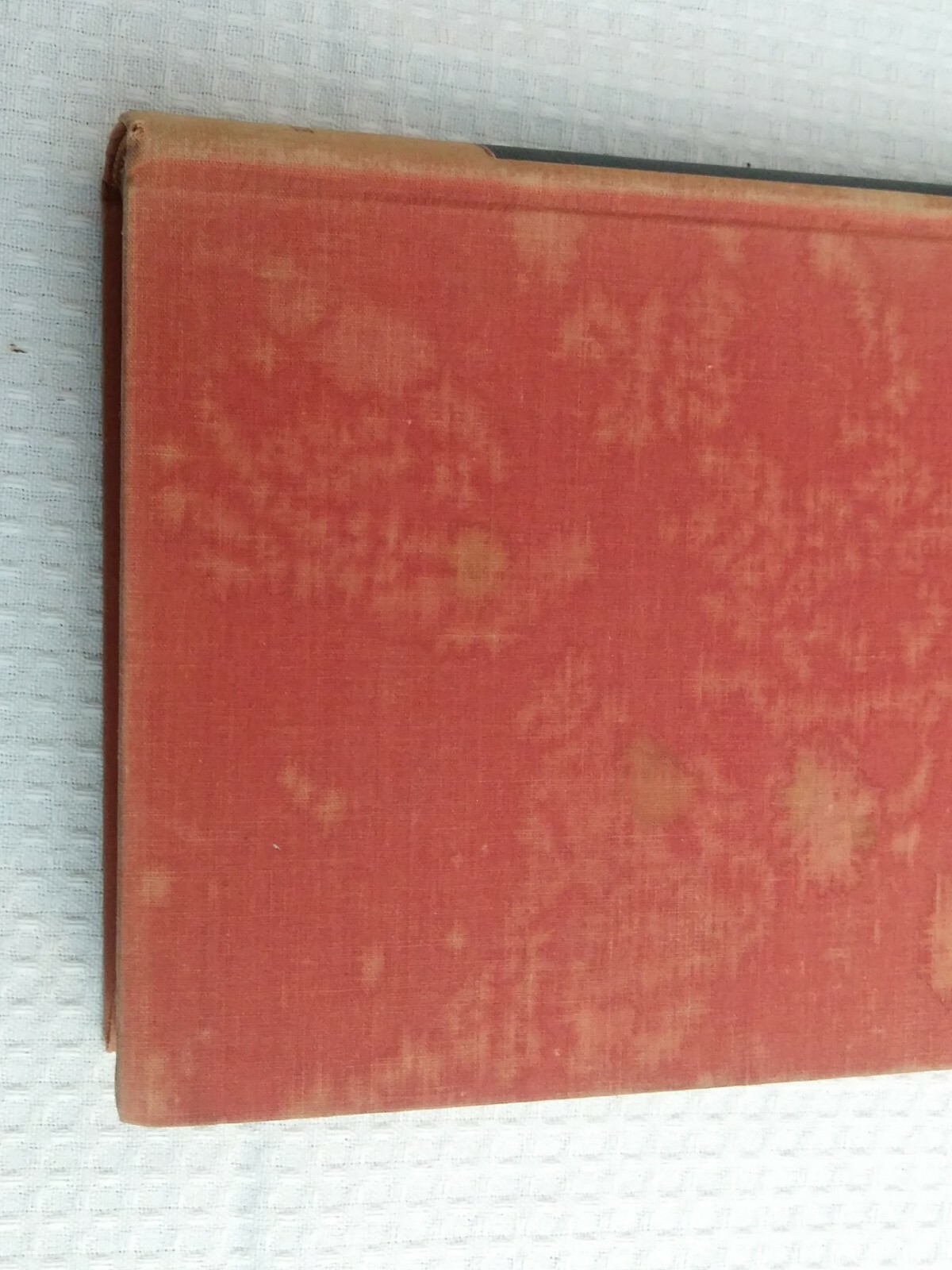Picture 3 of 12