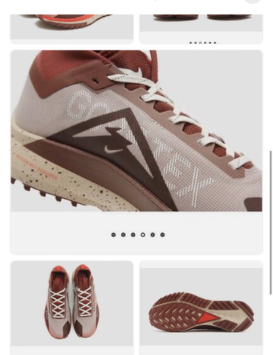 Nike Pegasus Trail 4 Gore Tex Size 8