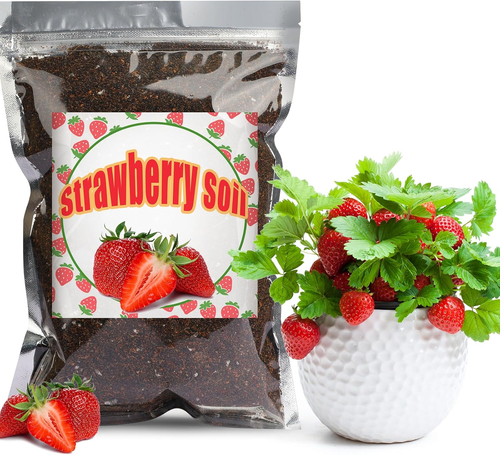 Organic Strawberry Soil Mix – 1 Quart Potting Mix For Indoor Potted Strawberries & Houseplants, Modern Style
