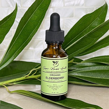 Elderberry Tincture  Organic  Sambucus Nigra 30ml Herbal Immune Support Sebi
