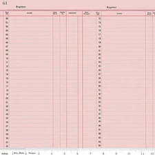 Ledger Paper in Pink | Journal Basics | Riley Blake